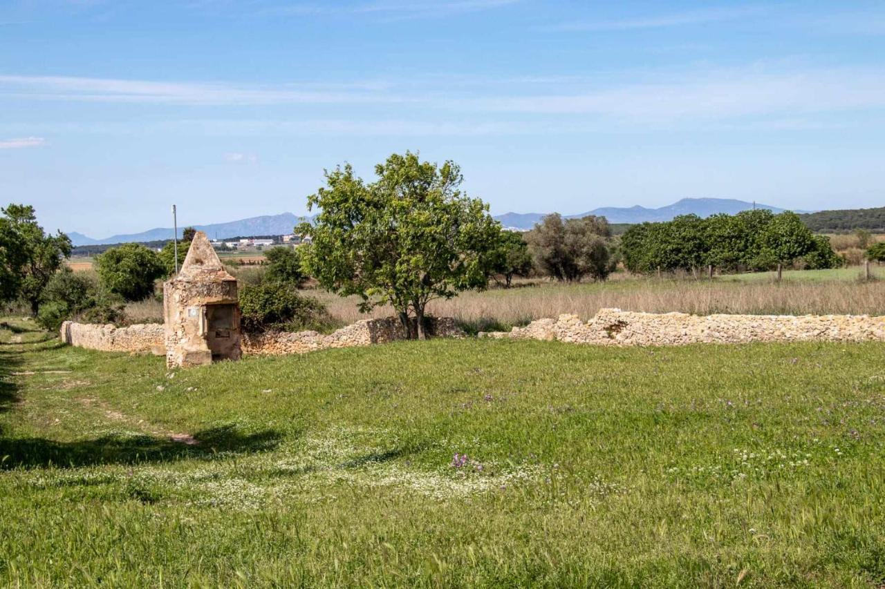 Sobrestany Ocells De Montgri Apartamento Rural En El Emporda מראה חיצוני תמונה